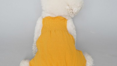 댕댕이 패피템! 강아지 항아리바지 득템 후기🐶✨ (최저가 정보)