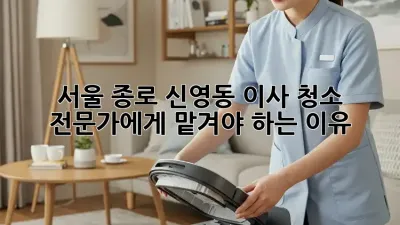 서울 종로 신영동 이사 청소, 전문가에게 맡겨야 하는 이유